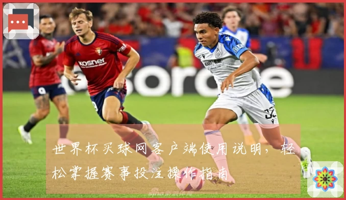 世界杯买球网客户端使用说明，轻松掌握赛事投注操作指南
